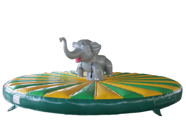 Rodeo Elefant